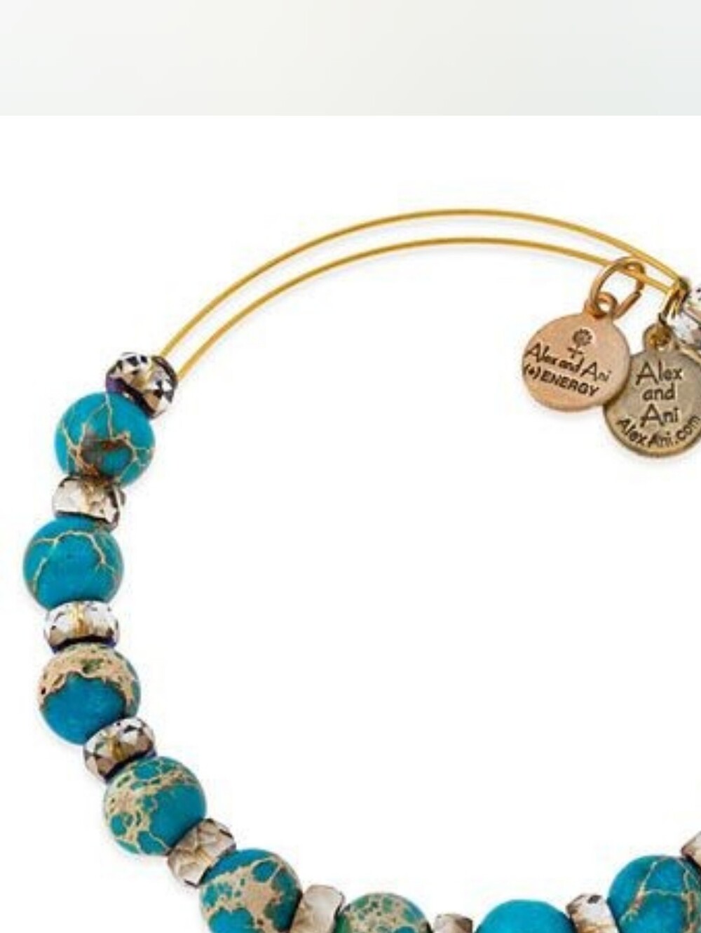 ~~Alex and Ani AQUA Bangle Bracelet~~